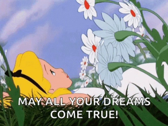 Alice In Wonderland Dreams Come True GIF
