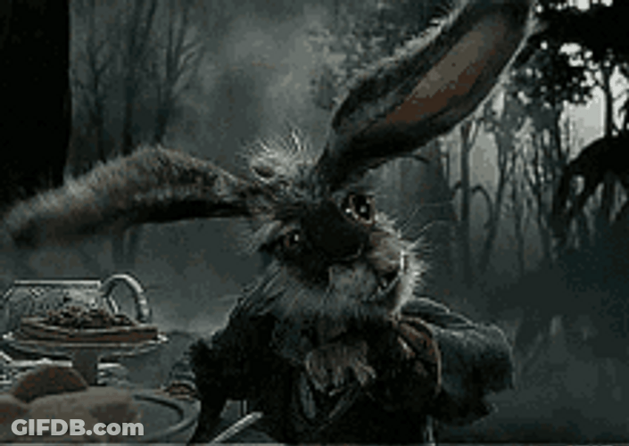 Alice Wonderland Mad Rabbit GIF