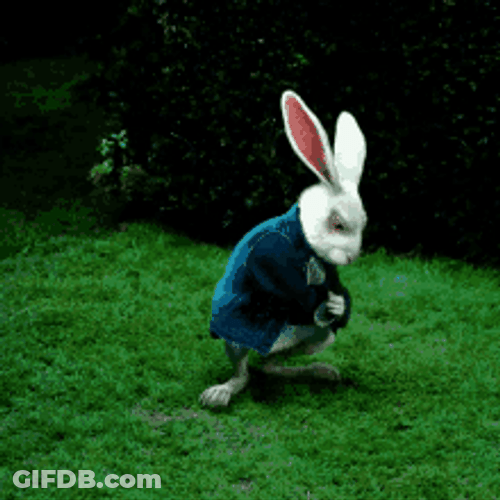 Alice Wonderland White Rabbit Check Time GIF