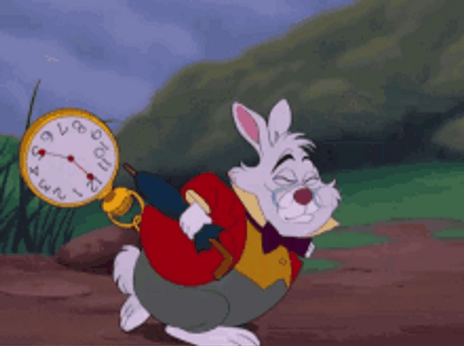 Alice Wonderland White Rabbit Late GIF