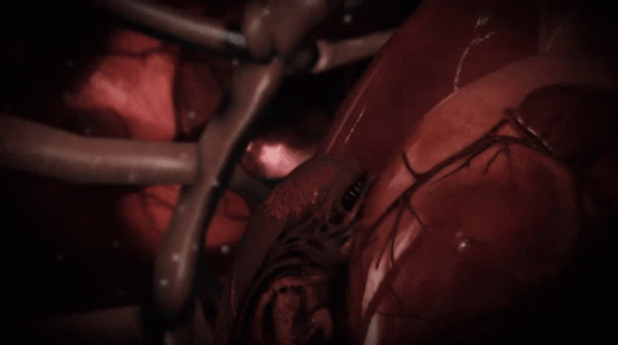 Alien Chestburster Crawling Pumping Heart GIF