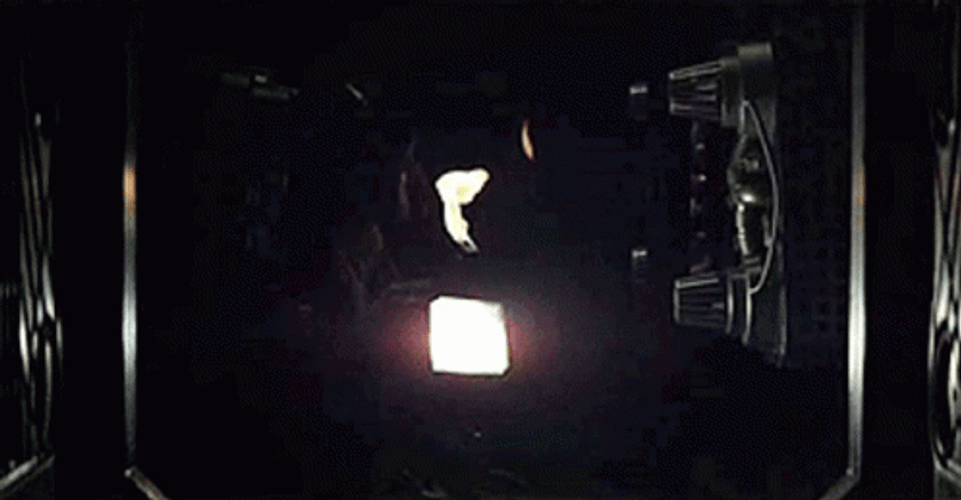 Alien Chestburster Smooth Phallic Head Flame Thrower GIF