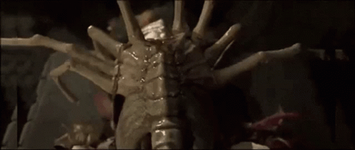 Alien Chestburster Xenomorph Attaching Face GIF