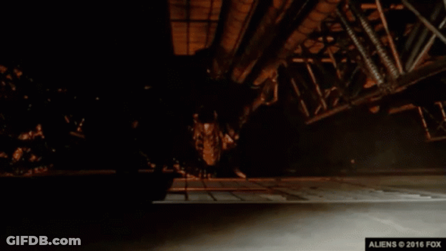 Alien Xenomorph Parade GIF