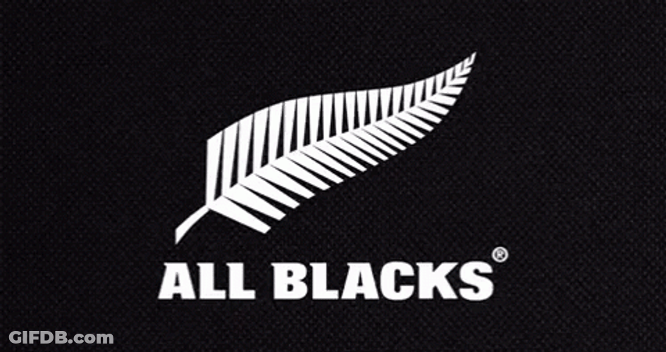 All Black Successful Rugby Team GIF