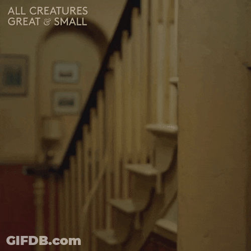 All Creatures Great And Small Peek Spy GIF