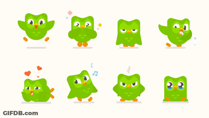 All Duolingo Poses GIF