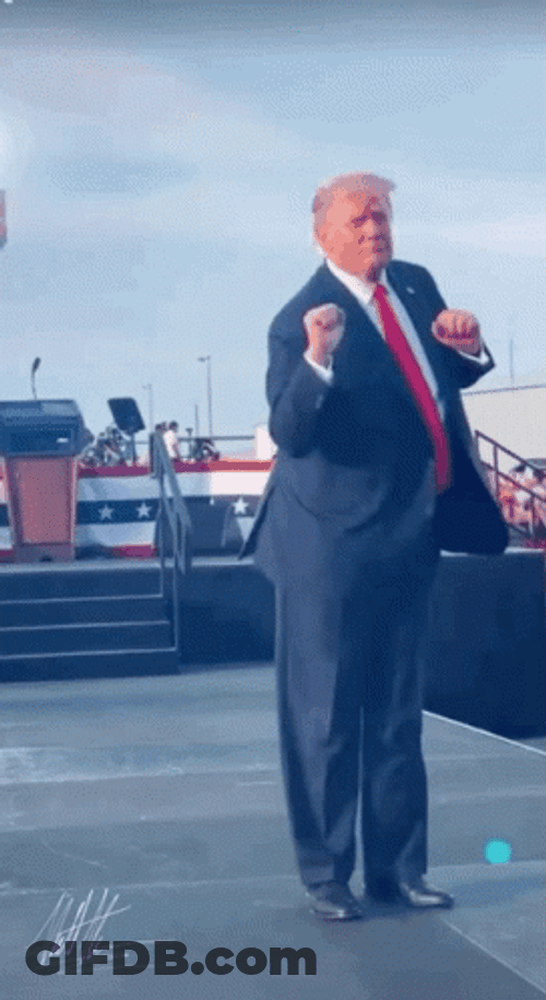 All I Do Is Win Donald Trump GIF