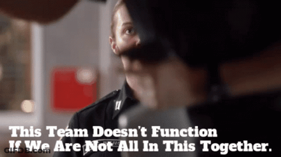 All In This Together Teamwork Meme GIF