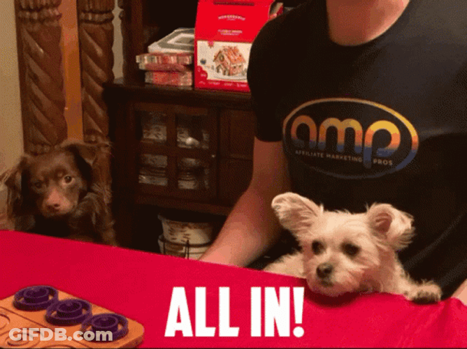 All In With A Cute Dog GIF