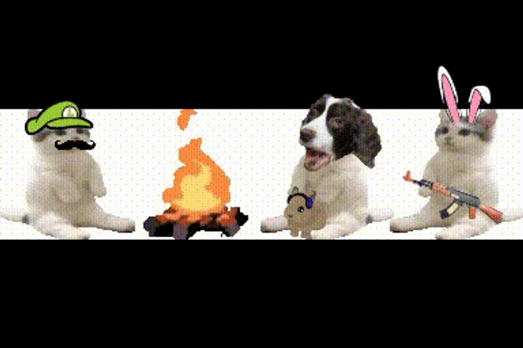 All My Fellas Bonfire GIF