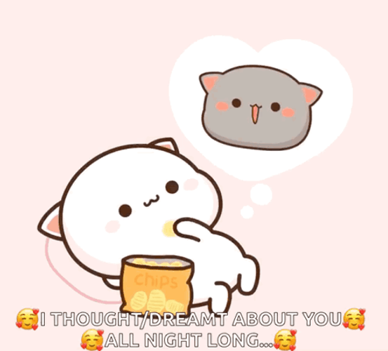 All Night Long Chomping Snacks Peach Goma GIF