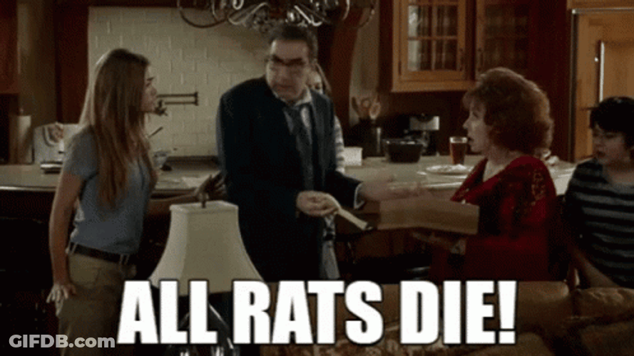 All Rat Die Meme GIF
