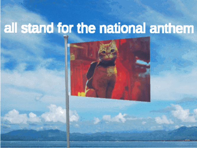 All Stand For The National Anthem GIF