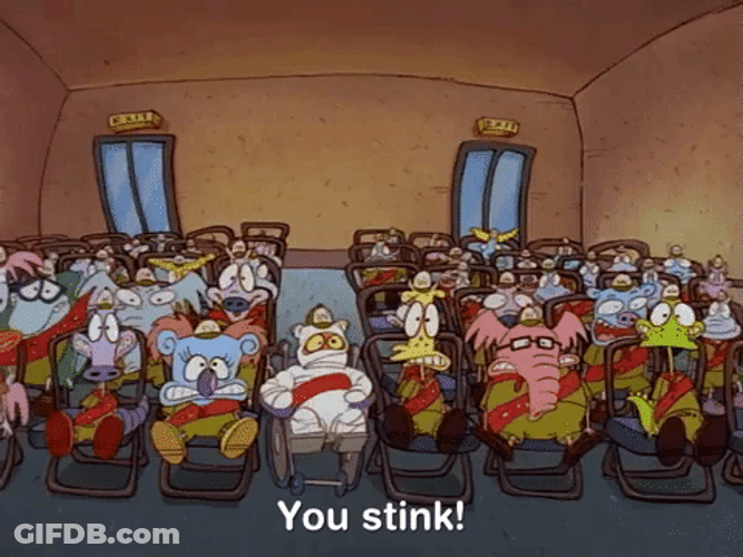 All The Animals Get Off The Staged GIF