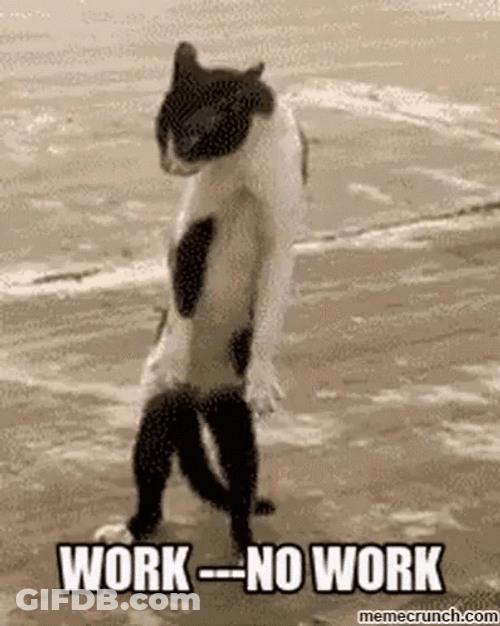 All Work And No Play Work No Work GIF
