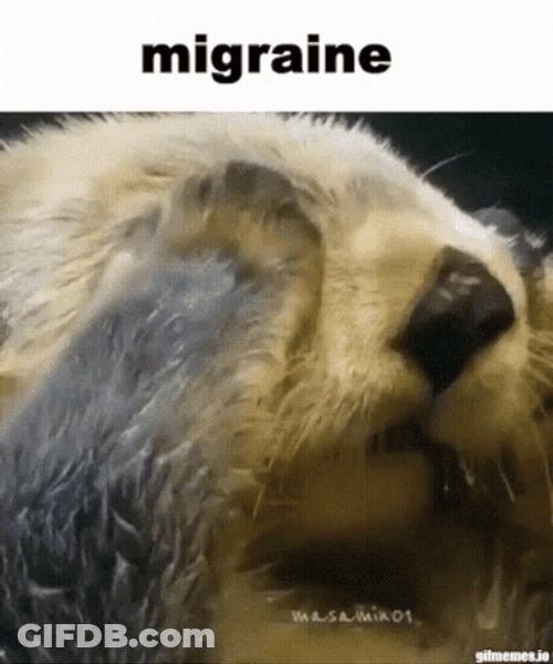 Allergies GIF