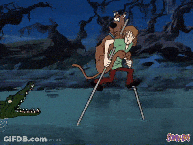 Alligator GIF