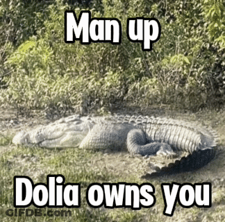 Alligator Laying In Grass Saying Man Up Dolia Owns You GIF