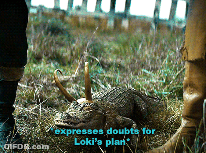 Alligator Loki Heads Up Doubt Funny Meme GIF