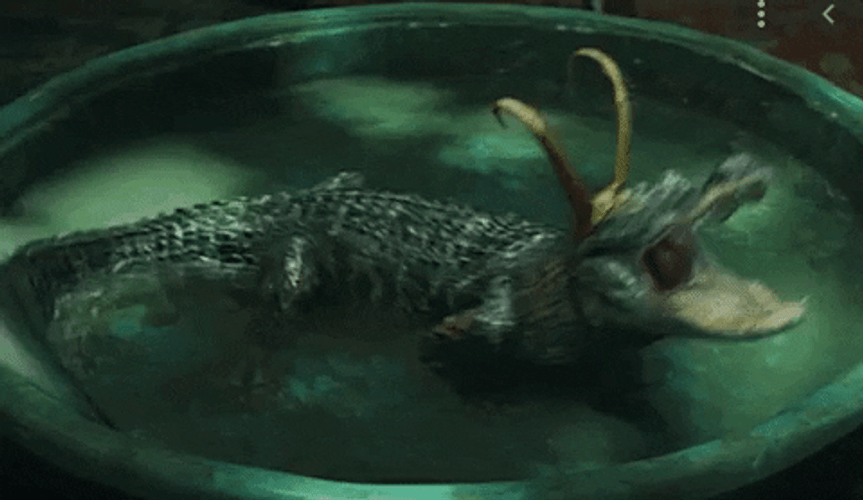 Alligator Loki Movie Growl Angry GIF