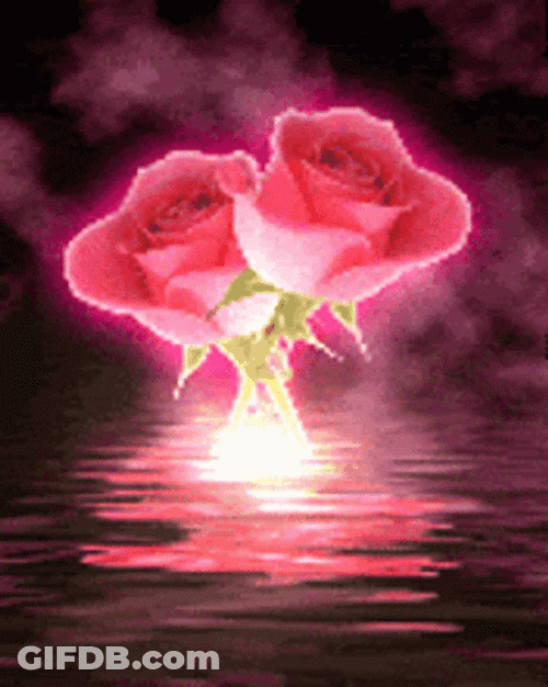 Alluring Pink Roses Glowing GIF