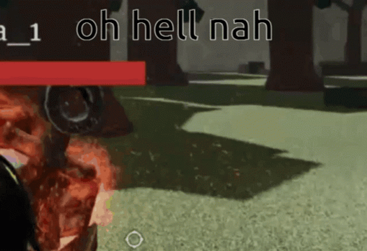Allusions Roblox Oh Hell Nah GIF