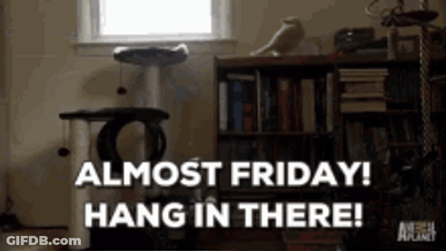 Almost Friday Hang In There Cat Meme GIF