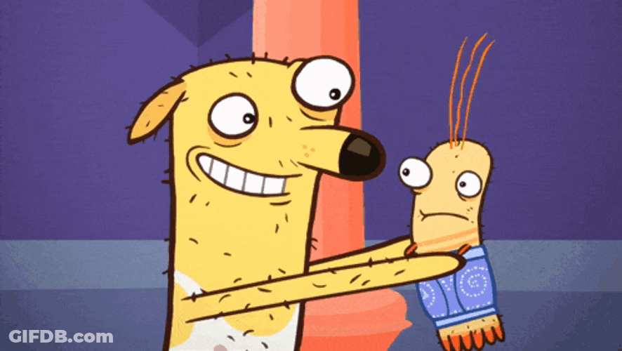 Almost Naked Animals Howie GIF