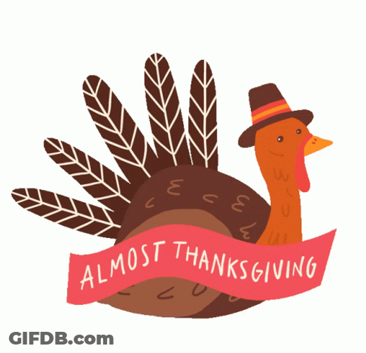 Almost Thanksgiving Turkey GIF