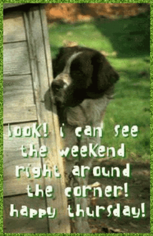 Almost The Weekend Right Around The Corner GIF