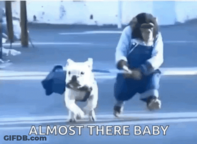 Almost There Pup And Monkey Running GIF