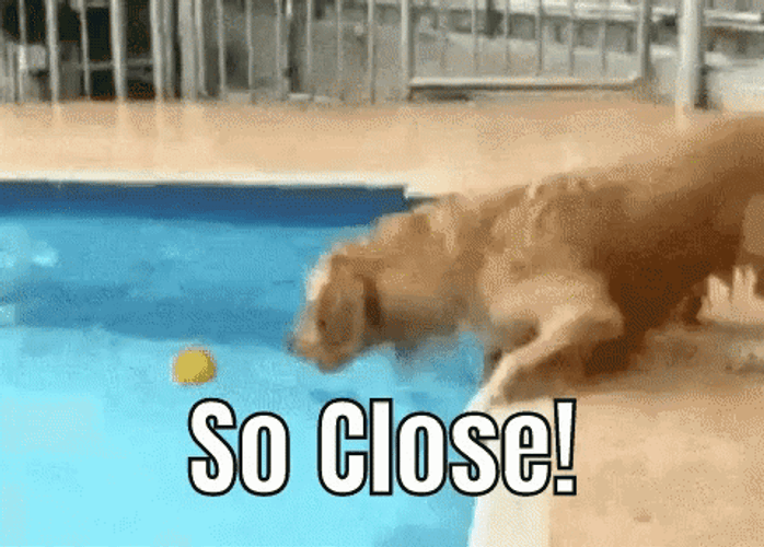 Almost There Puppy Reaching For Ball So Close GIF