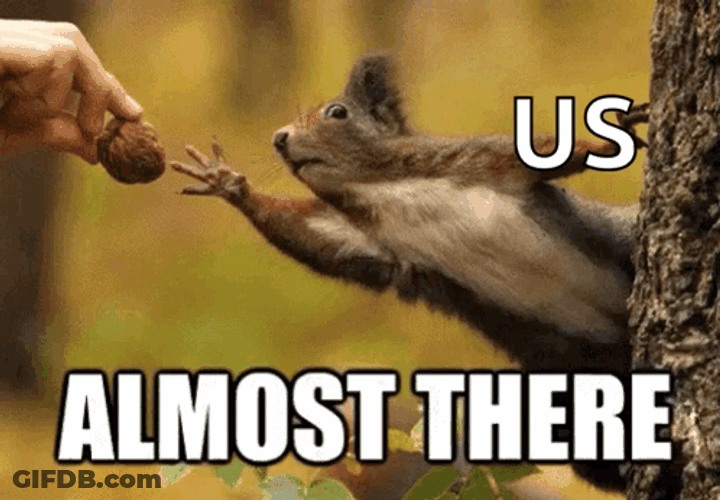Almost There Squirrel Reaching Out GIF