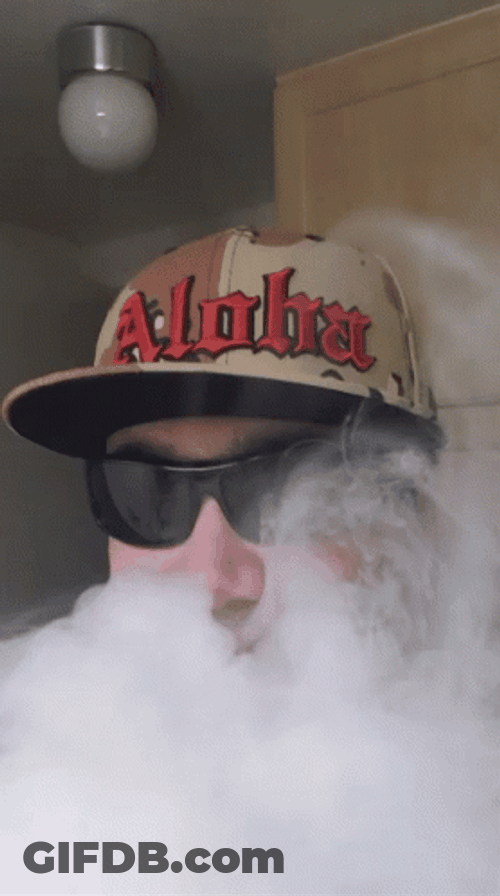 Aloha Cap With Shades Vape GIF