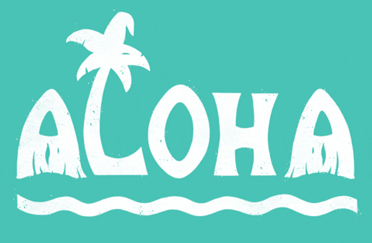 Aloha Friday Beach And Surf GIF