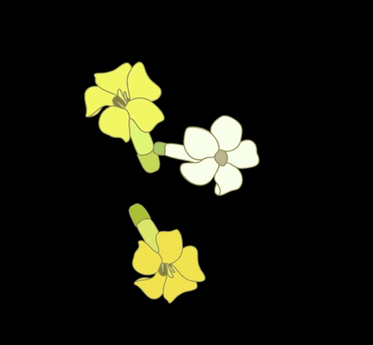 Aloha Friday Dancing Flowers GIF