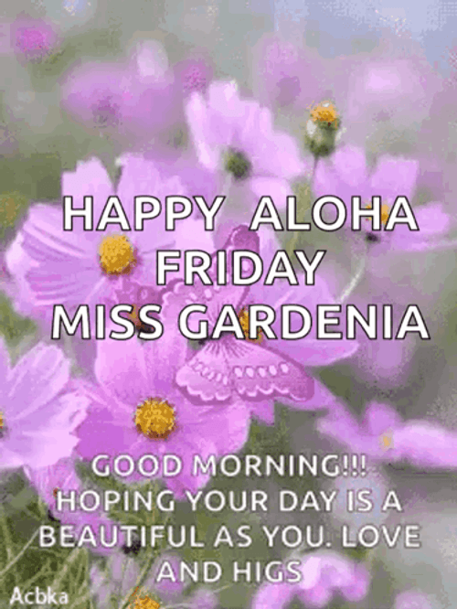 Aloha Friday Violet Butterfly GIF