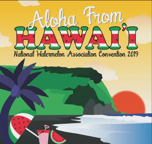 Aloha From Hawaii Friday GIF