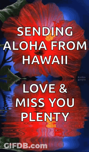 Aloha From Hawaii Love Miss You GIF