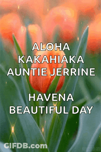 Aloha Kakahiaka Auntie Jerrine Beautiful Day GIF