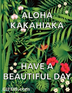 Aloha Kakahiaka Have A Beautiful Day Poster GIF