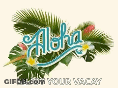 Aloha Surrounded By Tropical Leaves And Flowers GIF