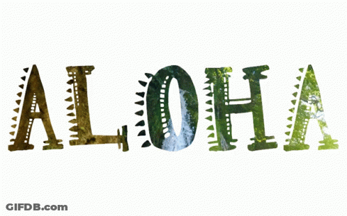 Aloha Word With Tree Background GIF