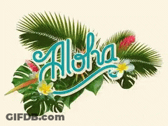 Aloha Word With Tropical Leaves And Flowers GIF