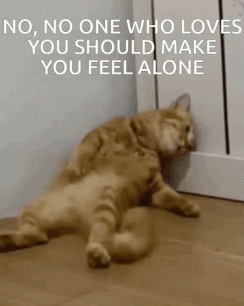 Alone Cat Glass Beach Lyrics GIF