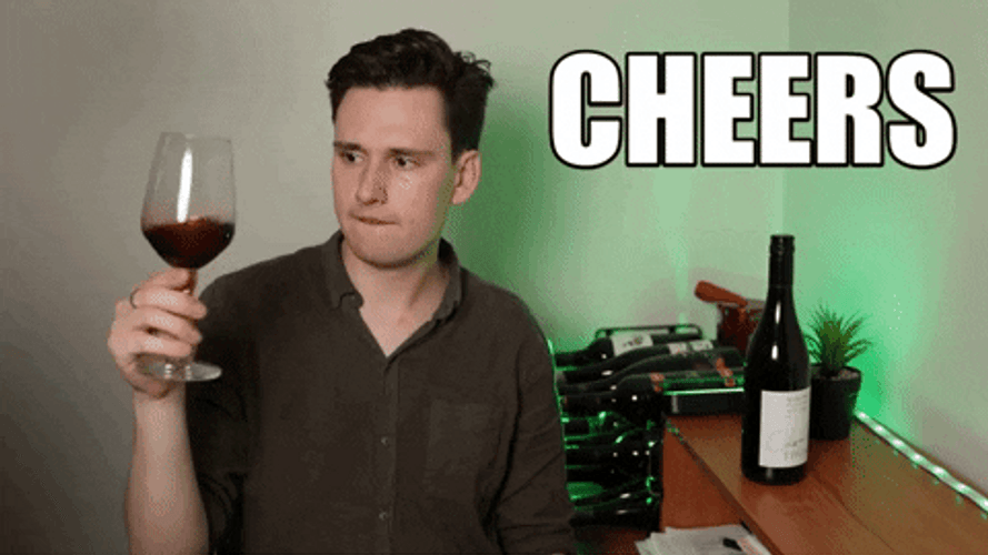Alone Cheers Happy Birthday Wine GIF