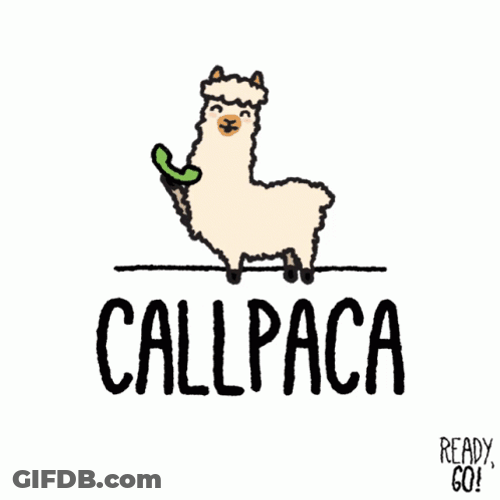 Alpaca Llama Calling GIF
