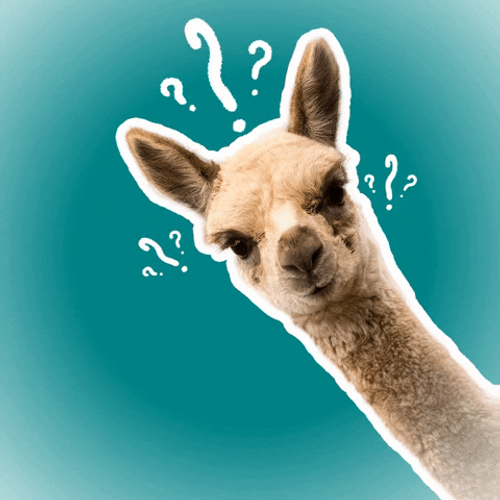 Alpaca Question Marks GIF