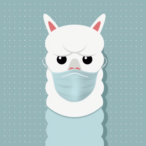 Alpaca Winking With Face Mask GIF